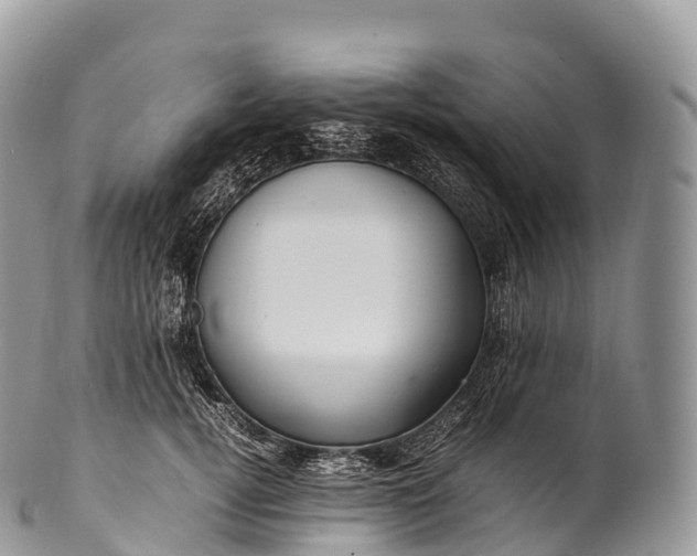 X0000100380752200806201650