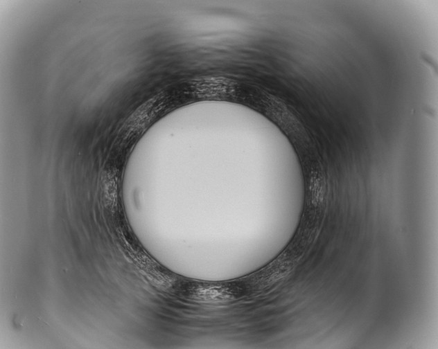 X0000100380753200806201650