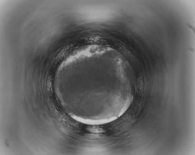 X0000100380754200806201650