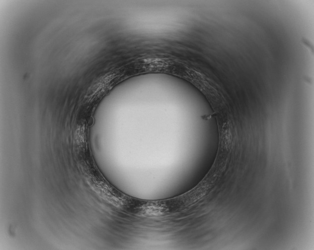 X0000100380756200806201650