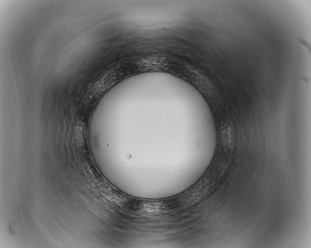 X0000100380757200806201650