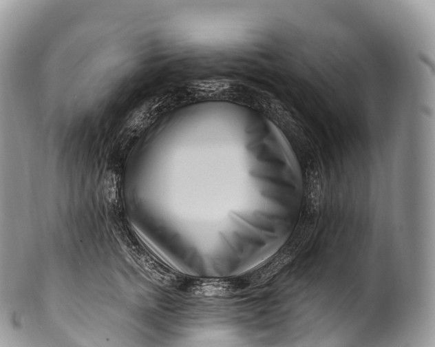 X0000100380758200806201650
