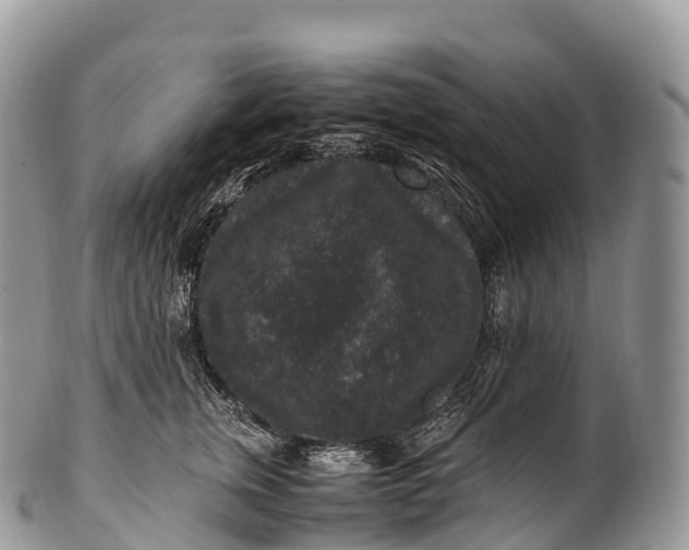 X0000100380759200806201650