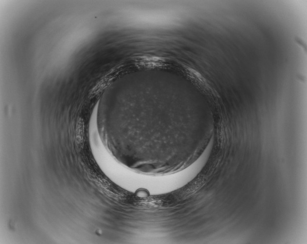 X0000100380760200806201650