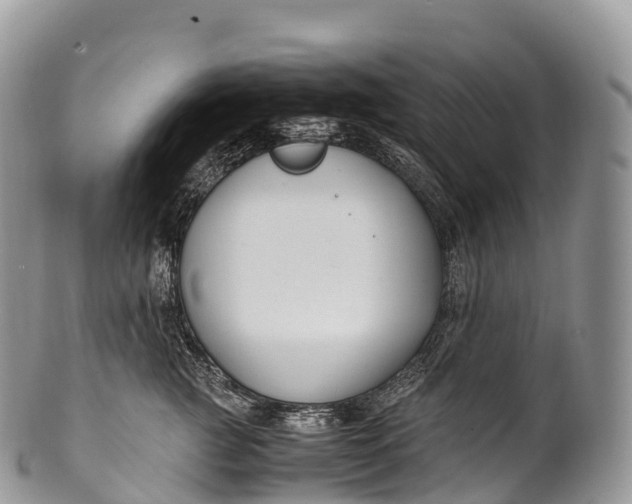 X0000100380761200806201650