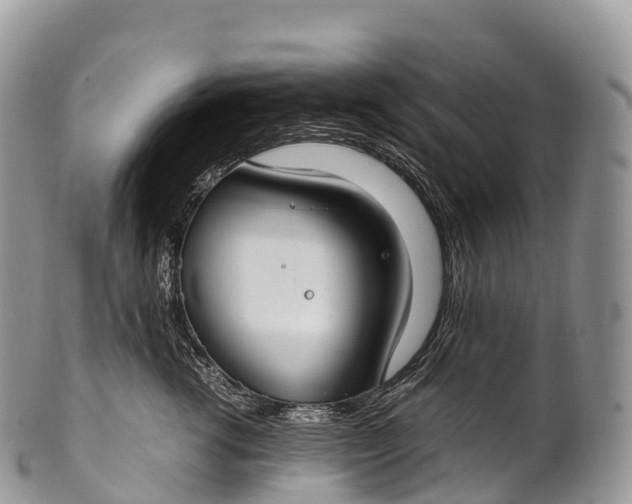 X0000100380762200806201650