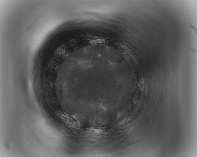 X0000100380763200806201650