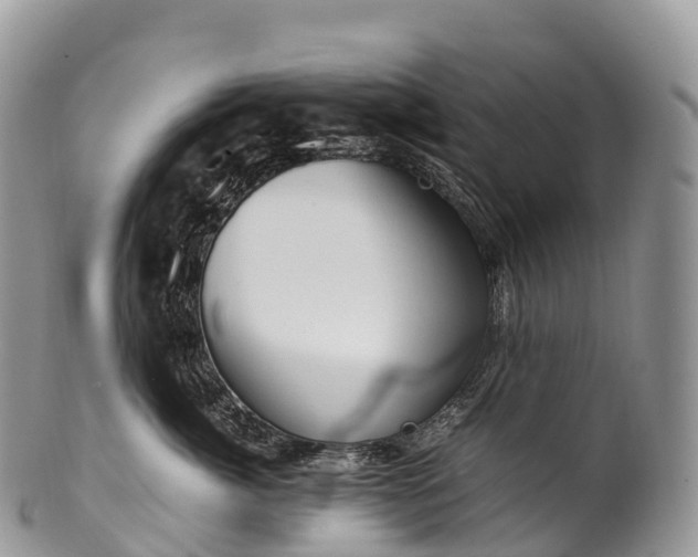 X0000100380764200806201650