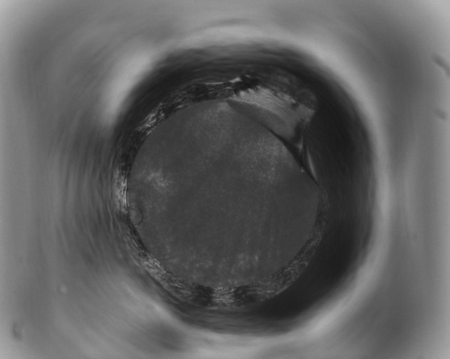 X0000100380766200806201650