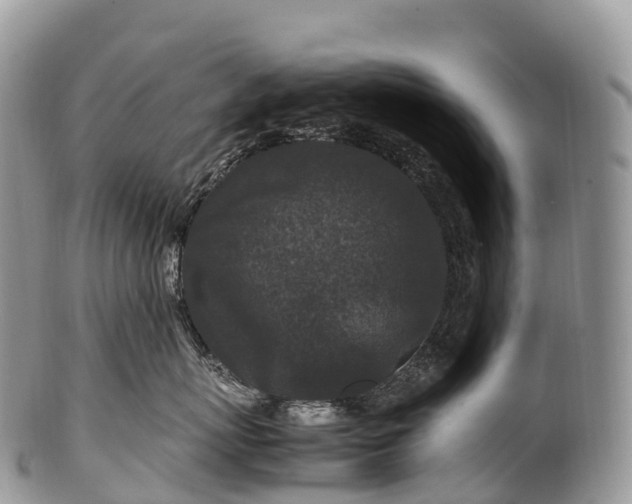 X0000100380767200806201650