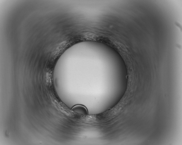 X0000100380768200806201650