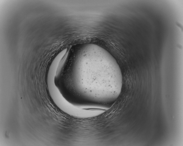 X0000100380769200806201649