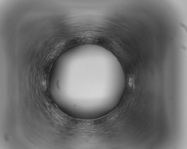 X0000100380771200806201649