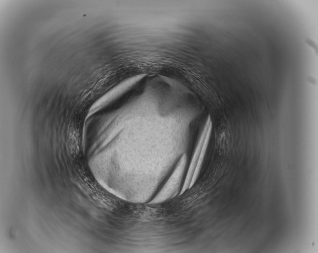 X0000100380772200806201649
