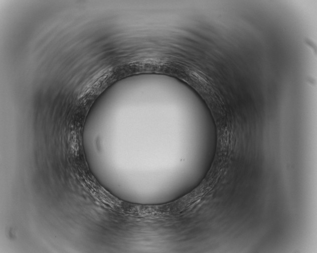 X0000100380774200806201649