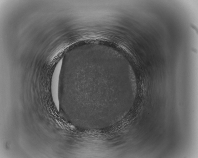 X0000100380775200806201649