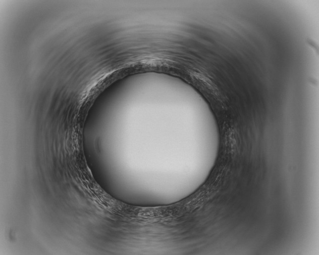 X0000100380776200806201649