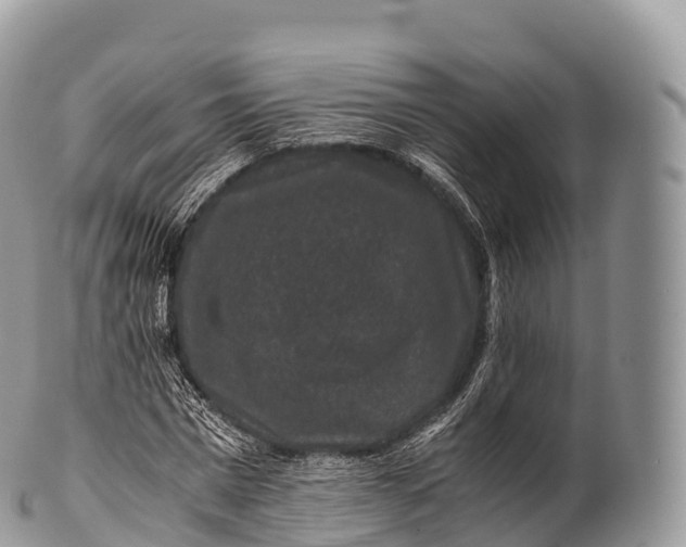 X0000100380777200806201649