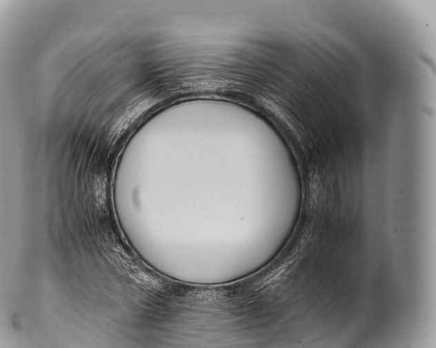 X0000100380778200806201649