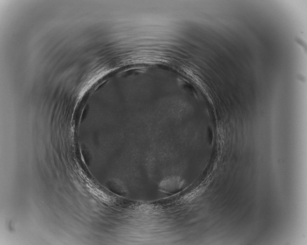 X0000100380779200806201649