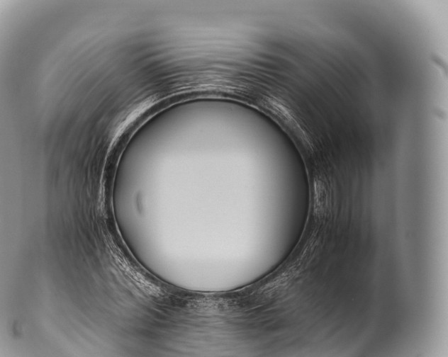 X0000100380780200806201649