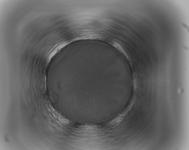 X0000100380781200806201649