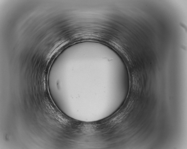 X0000100380782200806201649