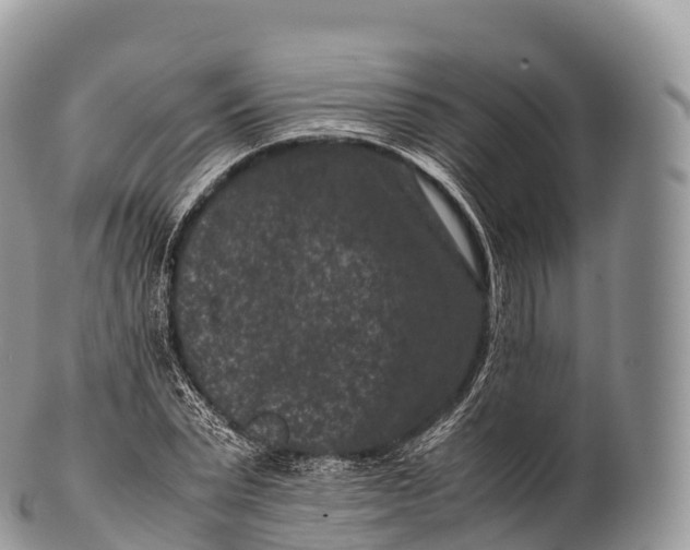 X0000100380783200806201649