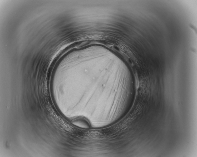 X0000100380784200806201649