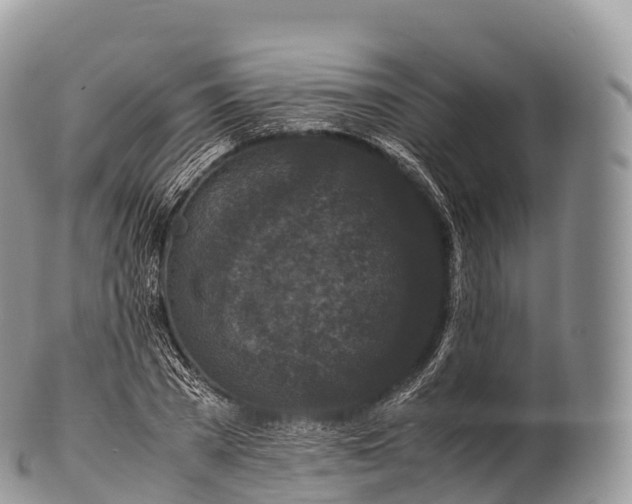 X0000100380785200806201649