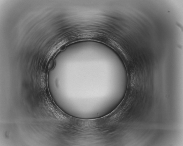 X0000100380786200806201649