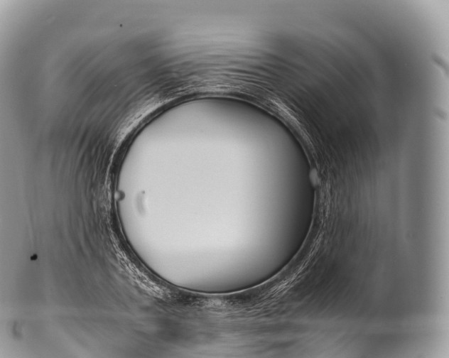 X0000100380787200806201649