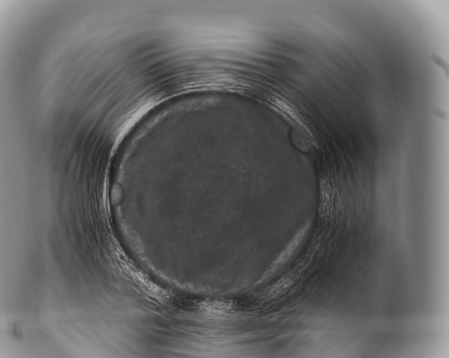 X0000100380788200806201649