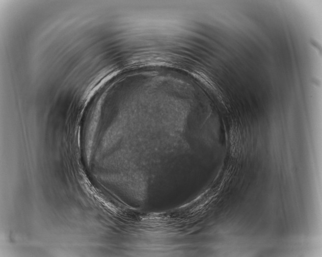 X0000100380790200806201649