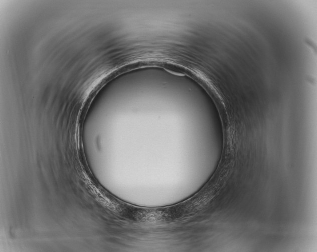 X0000100380791200806201649