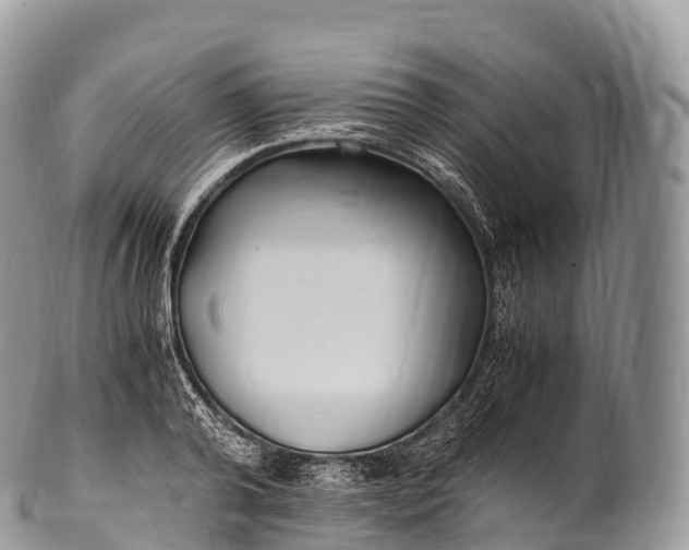 X0000100380792200806201649