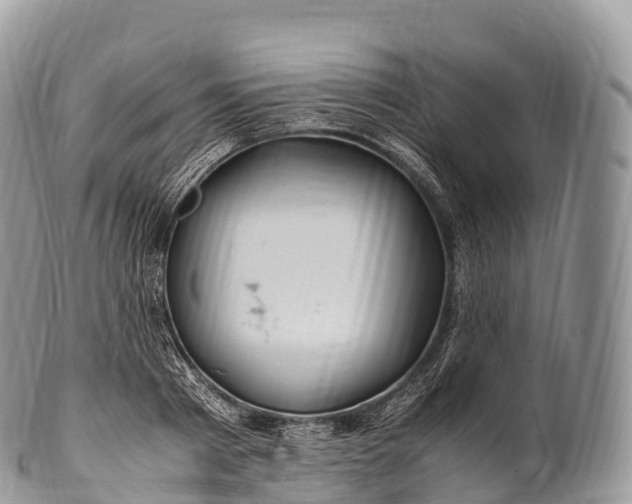 X0000100380793200806201649