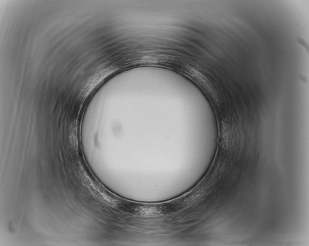 X0000100380794200806201649