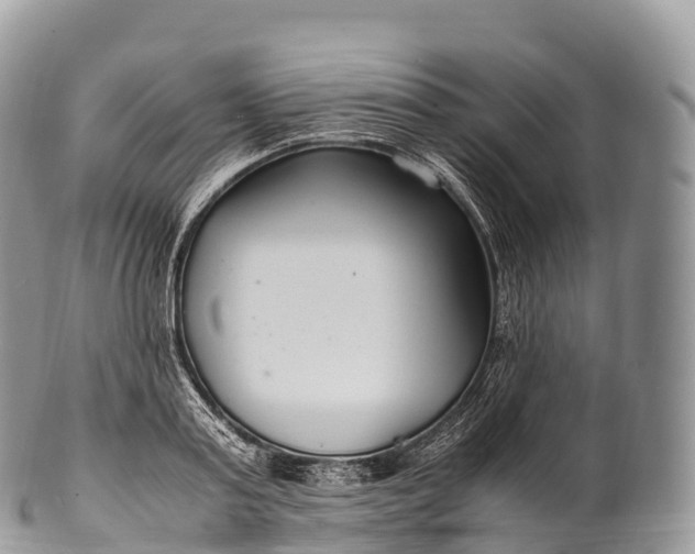 X0000100380795200806201649