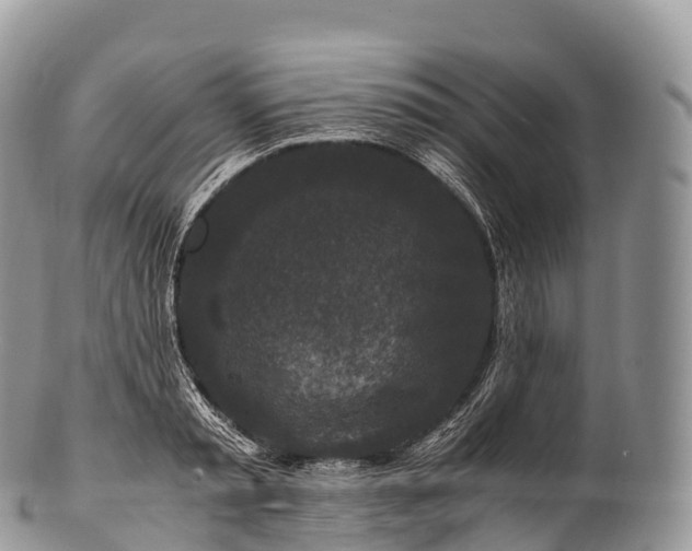 X0000100380797200806201649