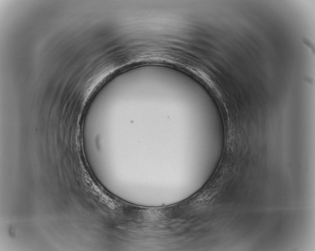 X0000100380799200806201649
