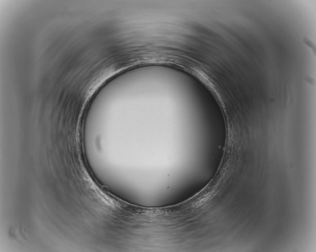 X0000100380803200806201649