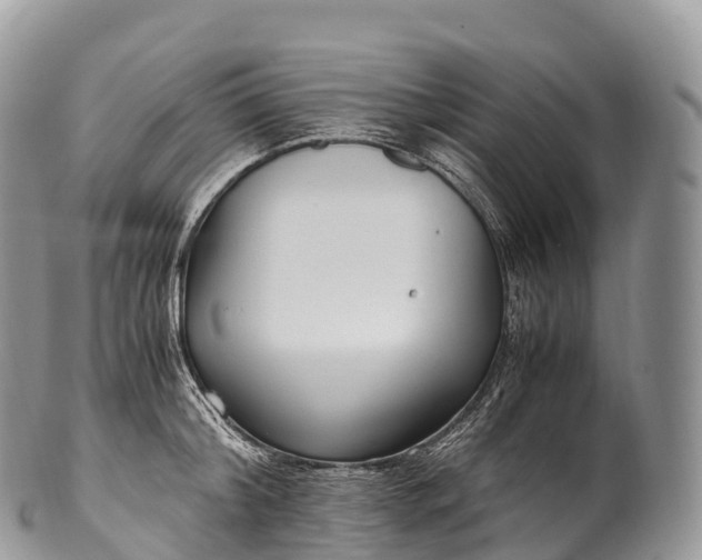 X0000100380804200806201649