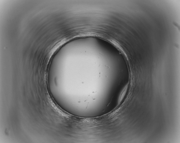 X0000100380805200806201649