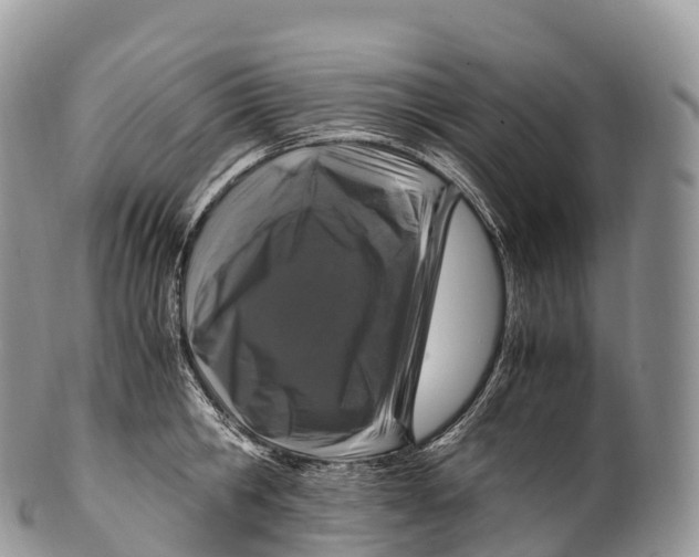 X0000100380806200806201649