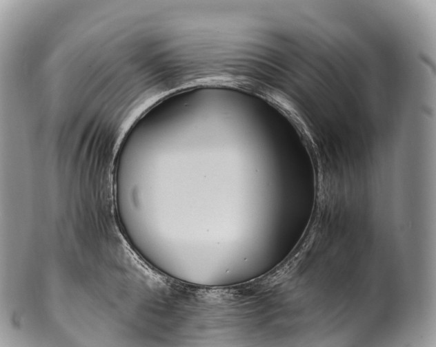 X0000100380808200806201649