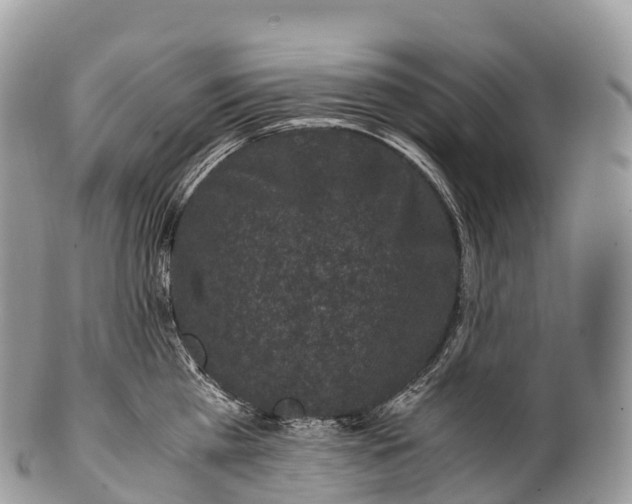 X0000100380809200806201649