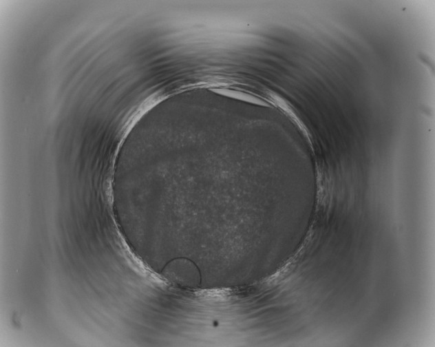 X0000100380810200806201649