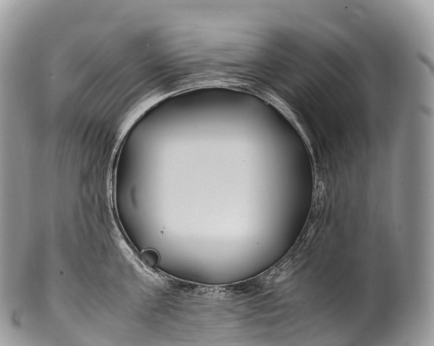 X0000100380811200806201649