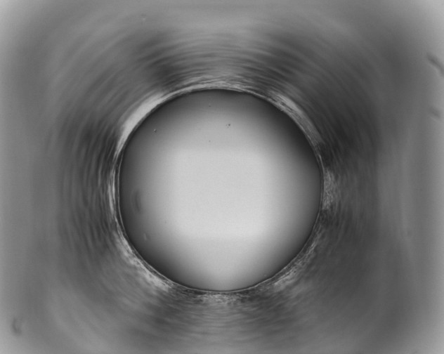X0000100380812200806201649